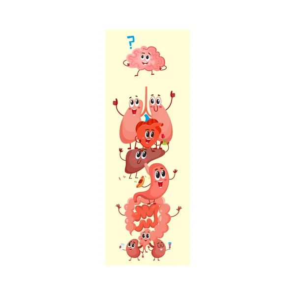 Diagramma a cartoni animati di anatomia umana, divertenti personaggi degli organi interni — Vettoriale Stock