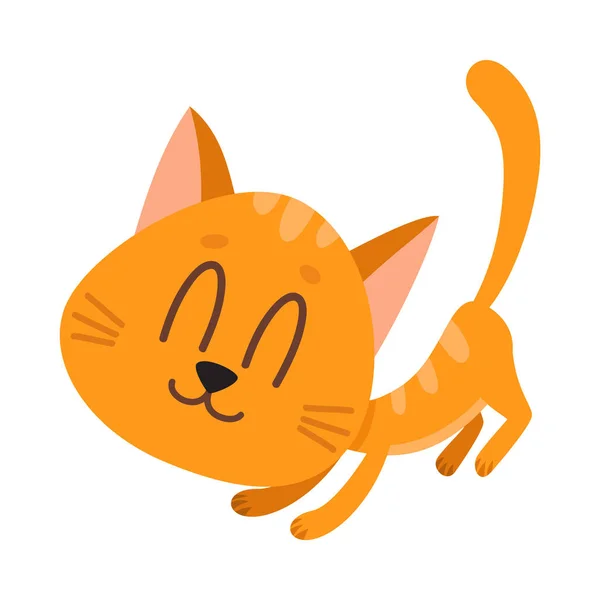 Lindo y divertido personaje de gato rojo, adulando, pidiendo caricia — Archivo Imágenes Vectoriales