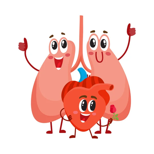 Pulmones humanos divertidos y sonrientes y personajes del corazón, órganos internos del pecho — Vector de stock