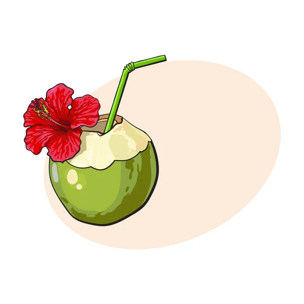 Cóctel de coco, bebida decorada con flor de hibisco, atributo de vacaciones de verano — Archivo Imágenes Vectoriales