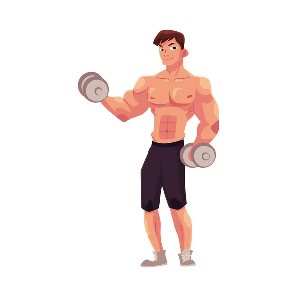 Uomo bodybuilder, sollevatore di pesi facendo allenamento bicipite, braccia di formazione con manubri — Vettoriale Stock