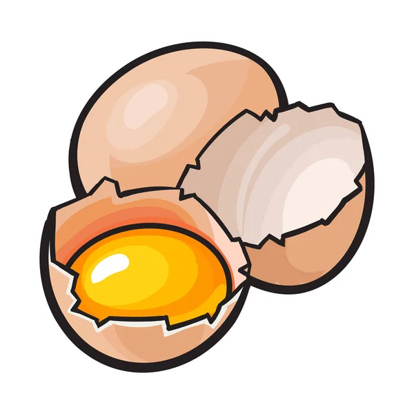 Celá a popraskané, broken slepičí vejce s žloutek uvnitř — Stockový vektor