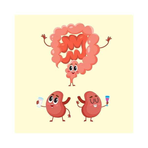 Características divertidas, sonrientes intestinos y riñones humanos, sistema digestivo — Vector de stock