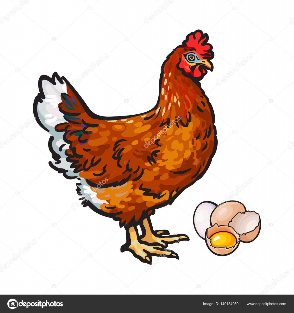 Höna kyckling och ägg hela och trasiga i hälften stock illustration hen chicken and eggs whole