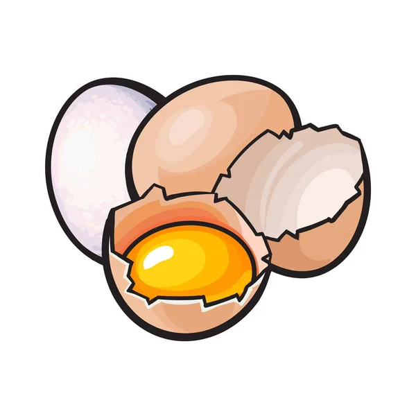 Ovo de galinha inteiro e rachado, quebrado com gema de ovo dentro —  Vetores de Stock