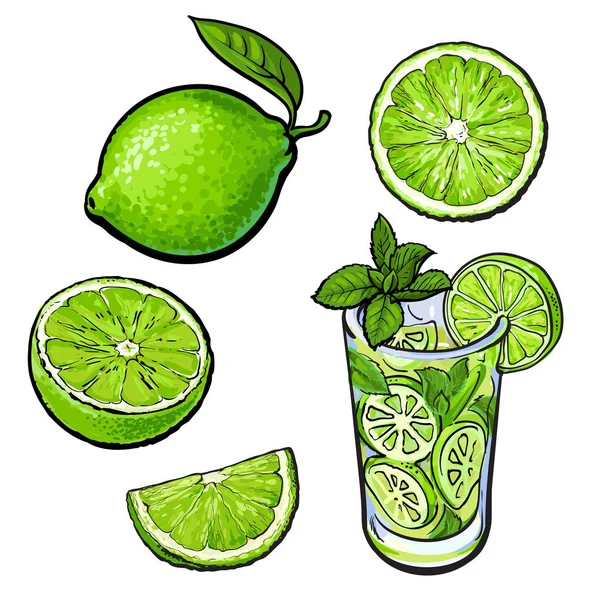 Entero, medio, cuarto de lima y vaso de limonada con hielo — Vector de stock