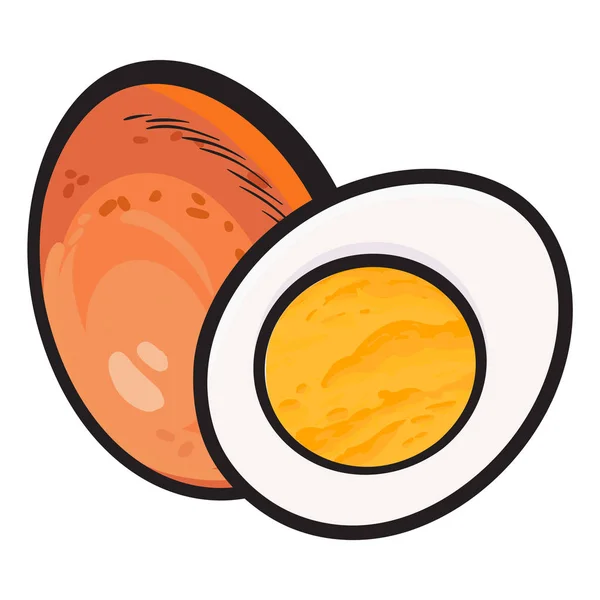 Kuře vařené, oloupané vejce, celé a snížit na polovinu — Stockový vektor