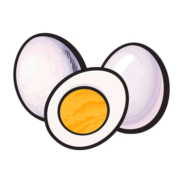 Uovo di pollo sbucciato, bollito, intero e tagliato a metà — Vettoriale Stock
