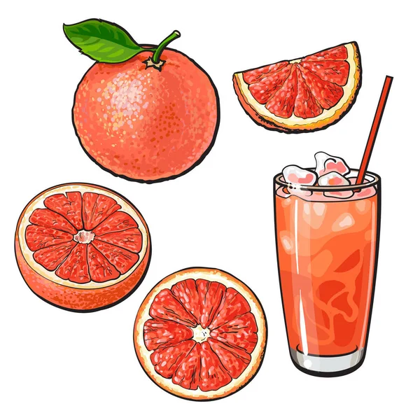 Ganze, halbe, viertel Grapefruit und ein Glas Saft mit Eis — Stockvektor