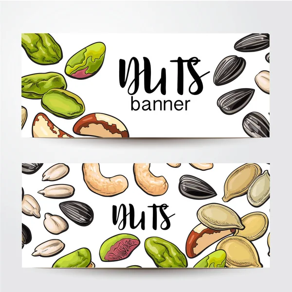 Banners com nozes, sementes e lugar para texto, ilustração esboço — Vetor de Stock
