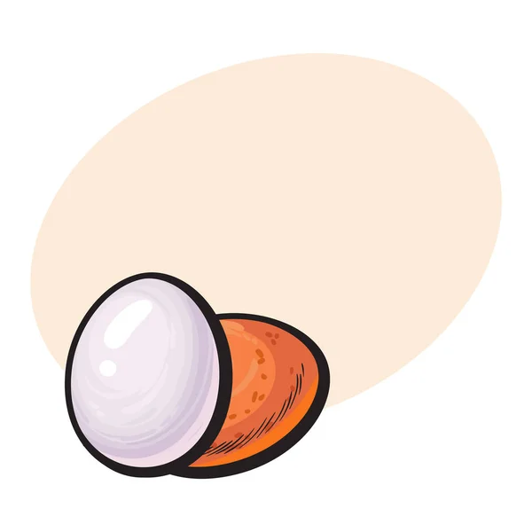 Celý pevný vařené, loupaná a neloupaná slepičí vejce — Stockový vektor