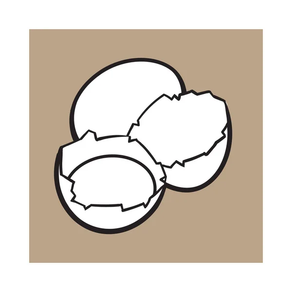 Kırık, kırık ve dökülen tavuk yumurta, kroki tarzı vektör çizim — Stok Vektör