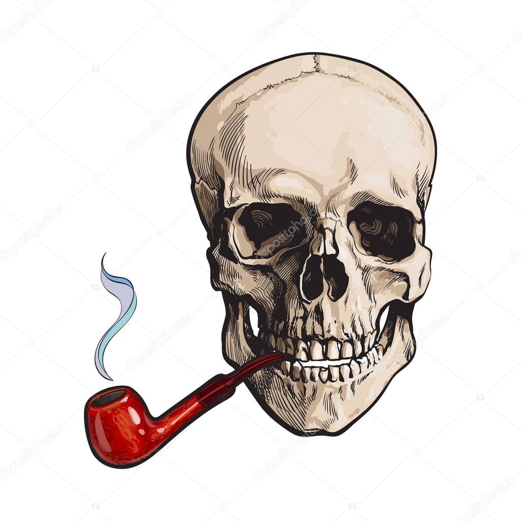 Hand drawn human skull smoking lacquered wooden pipe