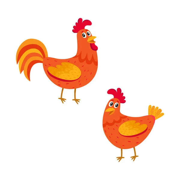 Linda, divertida pareja de gallo de granja y gallina, dos pollos — Vector de stock