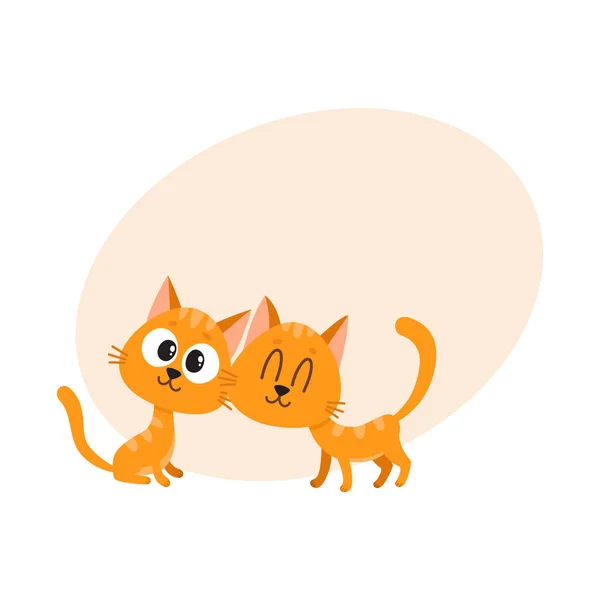 Dos lindo y divertido, curioso, mimando gato rojo, gatito personajes — Vector de stock