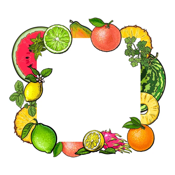Cadre carré de fruits tropicaux avec place vide pour le texte — Image vectorielle