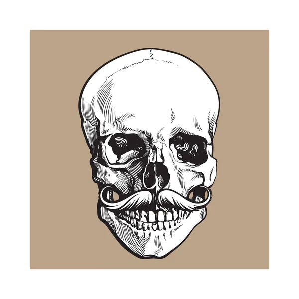 Handgezeichneter menschlicher Schädel mit nach oben gekrümmtem Hipster-Schnurrbart — Stockvektor