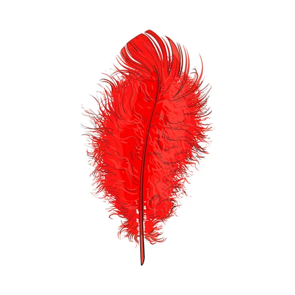 Pluma de pájaro rojo tierno, esponjoso dibujado a mano, ilustración del vector del boceto — Vector de stock