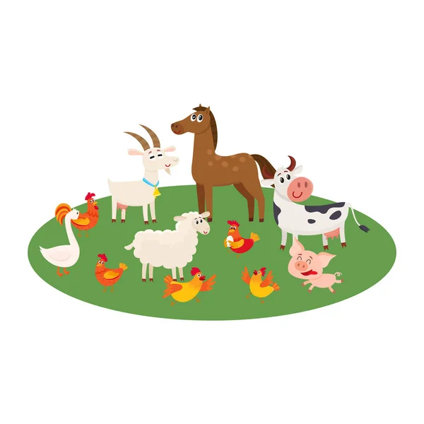 在绿色的草坪上吃草的牧场放牧农场动物 — 图库矢量图片