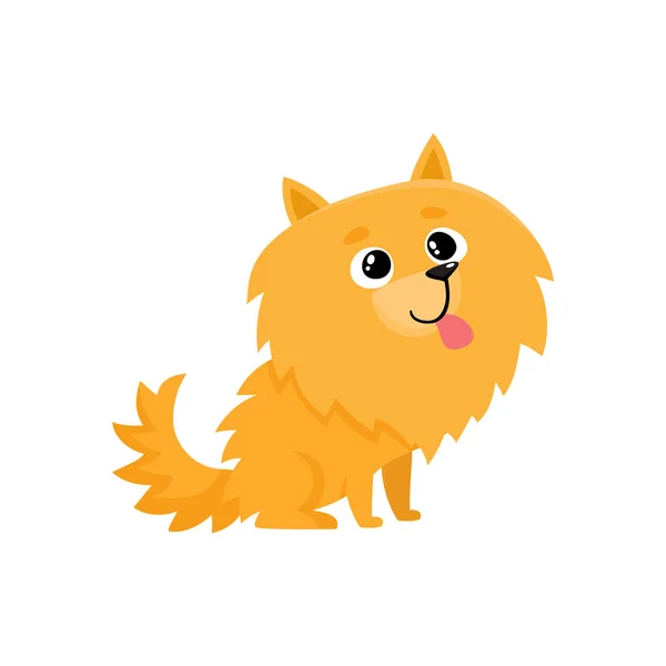 Χαριτωμένο μικρό μακρυμάλλη Pomeranian, spitz σκυλί χαρακτήρα, καρτούν εικονογράφηση — Διανυσματικό Αρχείο