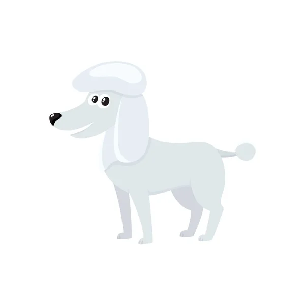Γλυκουλα, καλά καλλωπισμένο, καθαρόαιμο λευκό κανίς χαρακτήρα στο σκύλο — Διανυσματικό Αρχείο