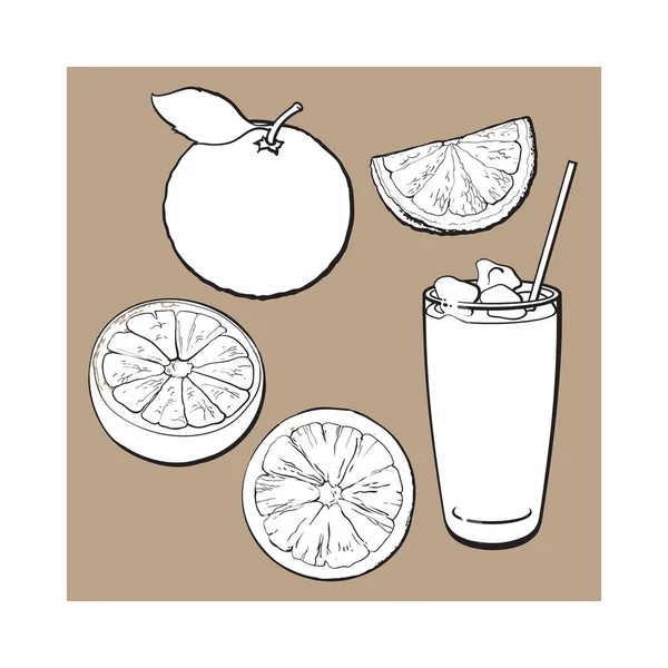 Whole, half, quarter pomelo y vaso de jugo con hielo — Archivo Imágenes Vectoriales