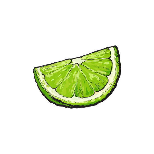 Quartier, segment, morceau de citron vert mûr — Image vectorielle