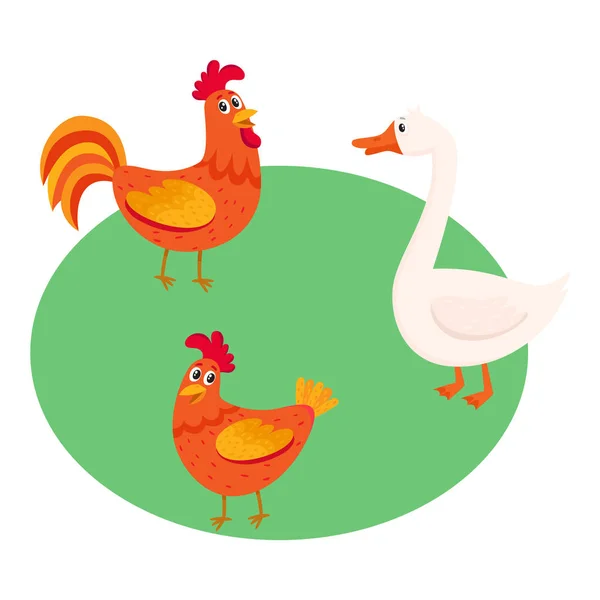 Cute, funny farm birds - rooster, hen, goose - on the pasture — Stock Vector