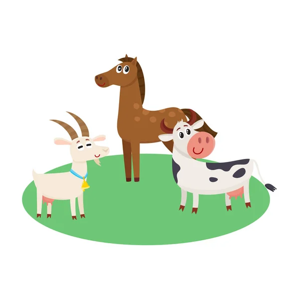 农场的马、 牛和山羊放牧在青青的牧场 — 图库矢量图片