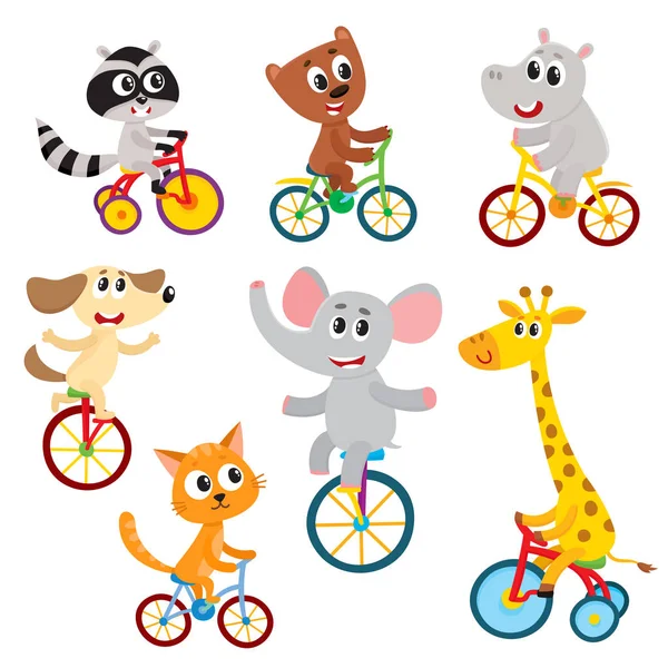 Cute little animal characters riding unicycle, bicycle, tricycle, cycling — Stock Vector