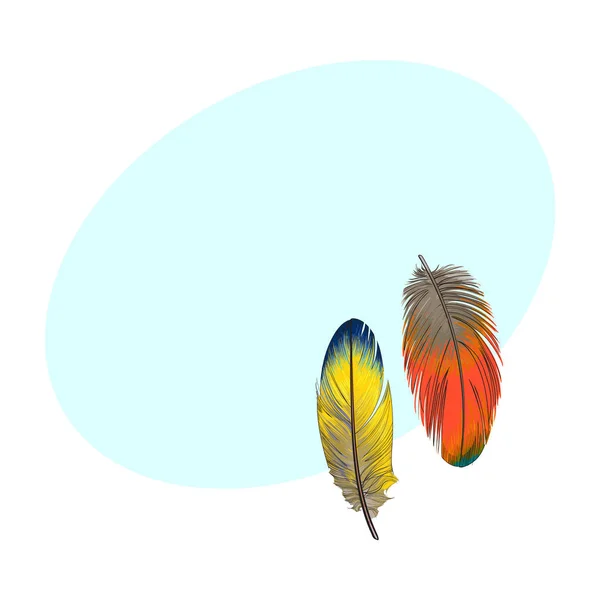 Dos plumas exóticas, tropicales, amarillas y anaranjadas suaves dibujadas a mano — Vector de stock