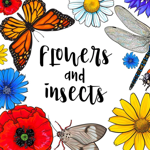 Bannière carrée - insectes et fleurs avec place ronde pour le texte — Image vectorielle