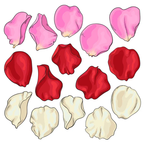 Zestaw wyciągnąć rękę białe, różowe i czerwone płatki róż — Wektor stockowy