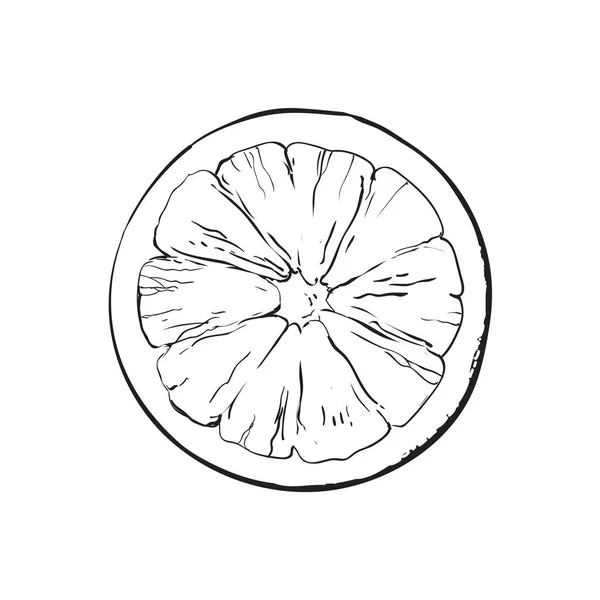 顶视图圆切成薄片，一半熟透的葡萄柚，橙 — 图库矢量图片