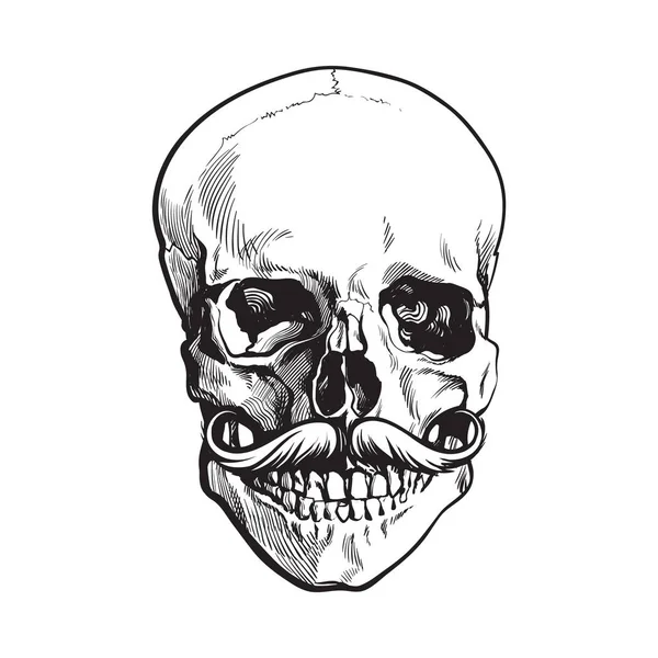 Crâne humain dessiné à la main avec moustache hipster bouclée vers le haut — Image vectorielle