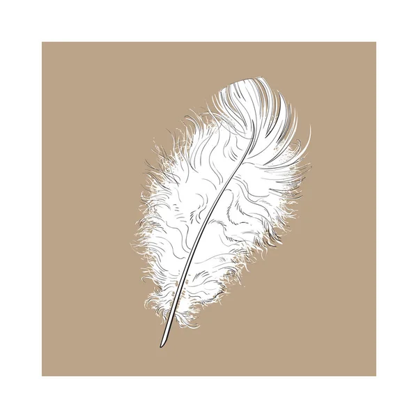 Ручное нарисованное нежное, пушистое черно-белое птичье перо, векторная иллюстрация — стоковый вектор