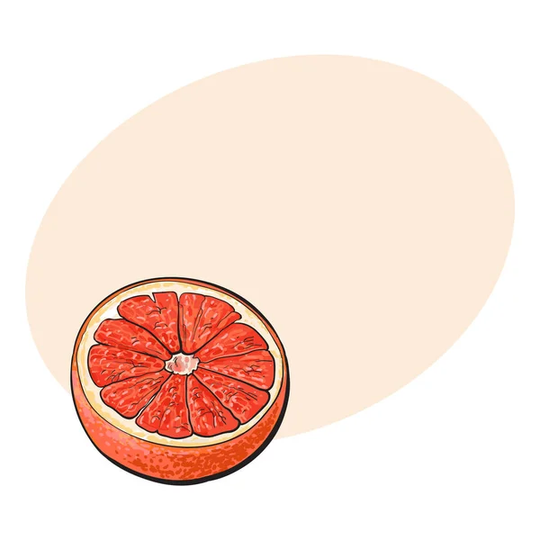 Hälfte reife rosa Grapefruit, rote Orange, Skizzenvektorillustration — Stockvektor