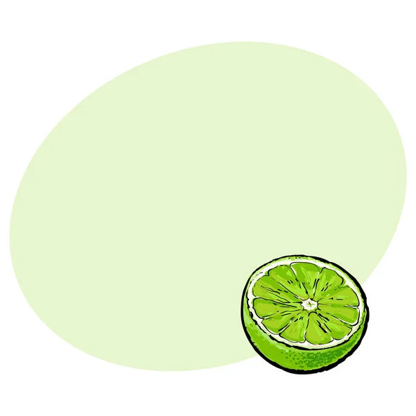 Το ήμισυ των ώριμων ασβέστη πράσινο, σκίτσο εικονογράφηση διάνυσμα — Διανυσματικό Αρχείο