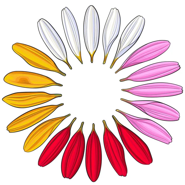 Handgezeichnete weiße, rosa, gelbe, rote Gerbera-Blütenblätter — Stockvektor