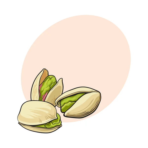 Groep pistachenoten, al dan niet gedopt, schets vector illustratie — Stockvector