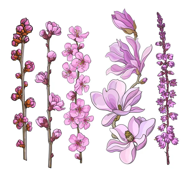 Ręcznie rysowane różowe kwiaty - magnolia, jabłek i wiśni kwiat, wrzos — Wektor stockowy