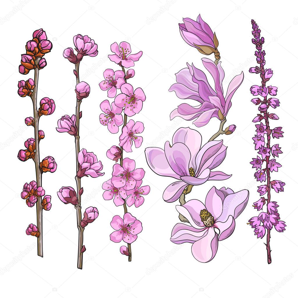 Hand drawn pink flowers - magnolia, apple and cherry blossom, heather