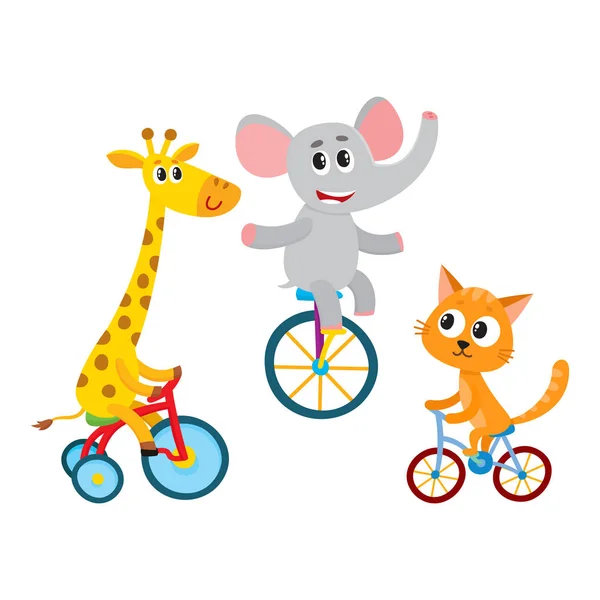 귀여운 코끼리, 기린, 고양이 동물 캐릭터 외 발 자전거, 자전거, 세 발 자전거를 타고 — 스톡 벡터