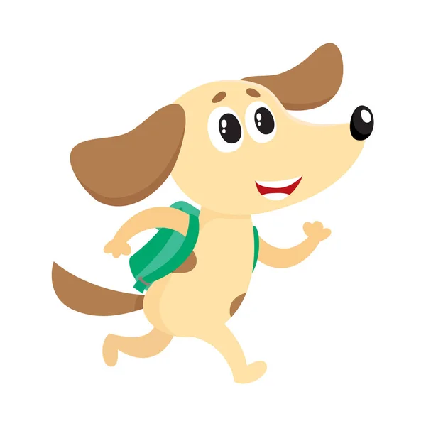 可爱的小狗，小狗学生性格匆忙赶往学校，背包里 — 图库矢量图片