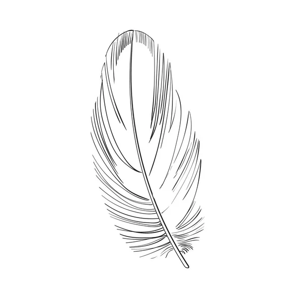 Smoth dessiné à la main noir et blanc tropical, oiseau exotique, plume de perroquet — Image vectorielle