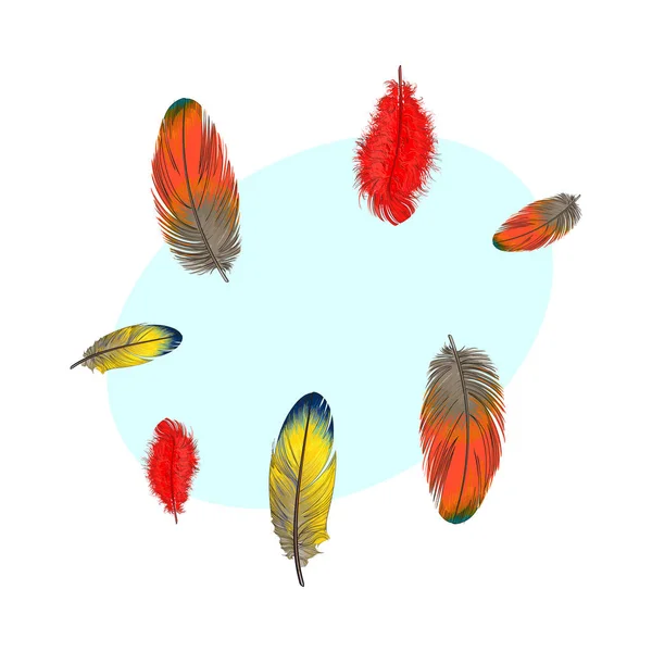 手描き様々 なカラフルな鳥の羽、ベクトル図のセット — ストックベクタ