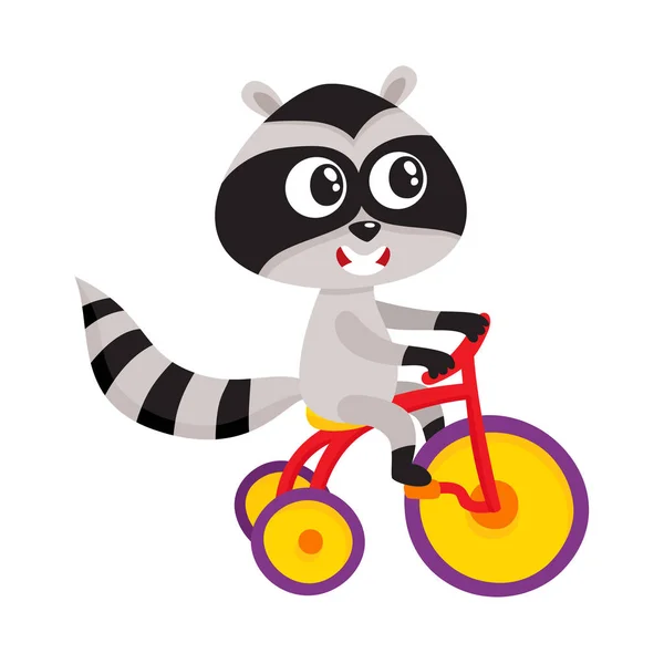 Симпатичный маленький енот персонаж езды на велосипеде, трехколесном, велосипеде, иллюстрация мультфильма — стоковый вектор