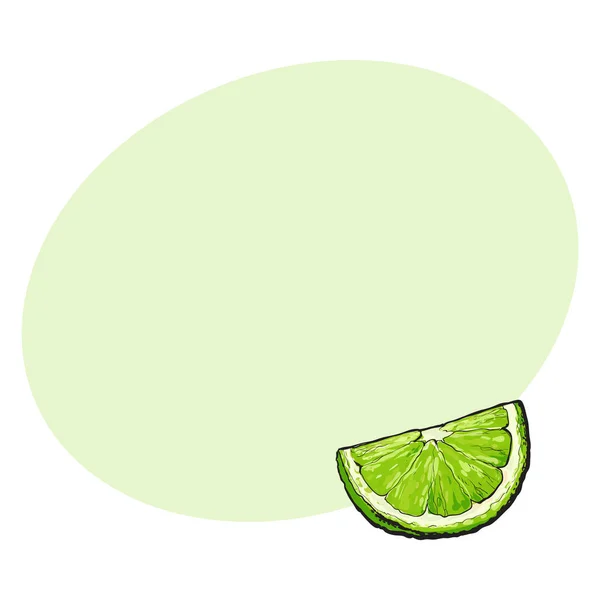 Cuarto, segmento, pedazo de lima verde madura — Vector de stock