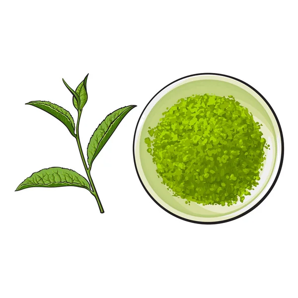 Bol dessiné à la main de poudre de matcha et de feuille de thé vert — Image vectorielle