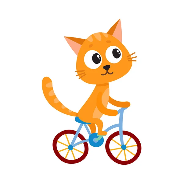 Lindo pequeño gato, gatito carácter montar en bicicleta, ciclismo, celebración de manillar — Archivo Imágenes Vectoriales